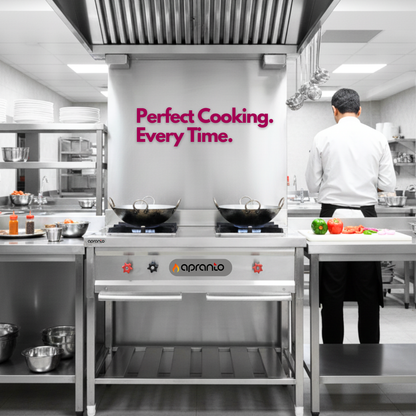 2 Burner Indian Gas Range | Commercial Bhatti | SS Construction | Backsplash and Control Valves | Ideal for Hotels, Restaurants, Cafes